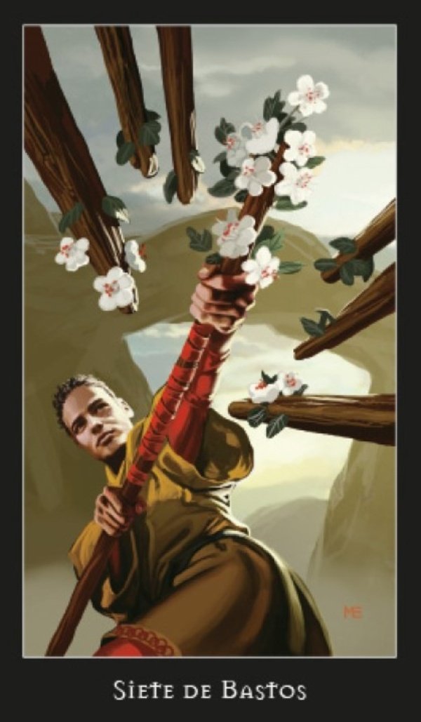 Tarot das Bruxas